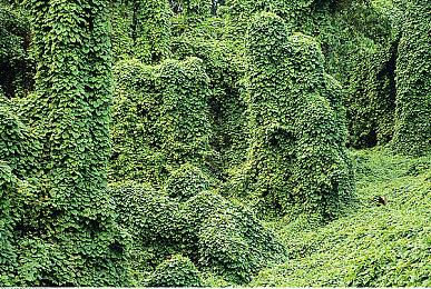 《死亡空间：重制版》官宣2023年初发售 音效系统展示