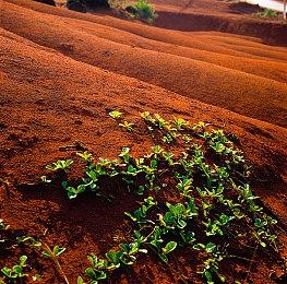 《怪物猎人：荒野》新预告 惊心动魄的刺激战斗