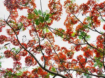 可爱3D动作游戏《妮可来了！》现已登陆任天堂Switch