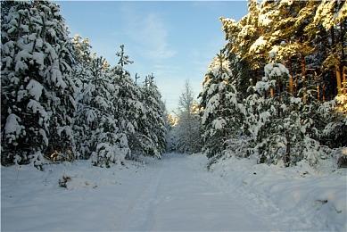 像素风末日生存游戏《洋流朋克》1月12日Steam发售 定价28元